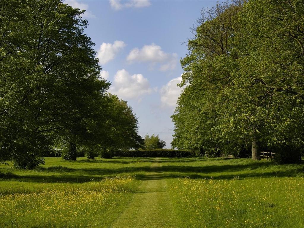 Ollivers Farm Bed & Breakfast Great Yeldham Exterior photo